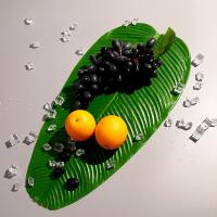 uploads/erp/collection/images/Home Garden/CongDing/XU0611738/img_b/XU0611738_img_b_4